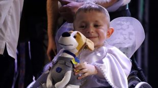 Міжнародний фестиваль «Політ з одним крилом» 15