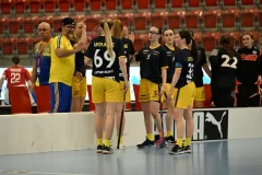 Дівчата з нашого міста предсталяли збірну України з флорболу 04