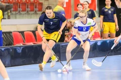 Дівчата з нашого міста предсталяли збірну України з флорболу 07